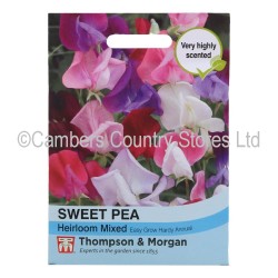 Thompson & Morgan Sweet Pea Heirloom Mixed